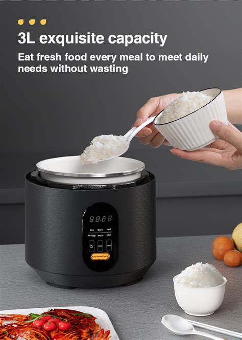 Zolele Ep Multifunctional Electric Pressure Cooker L Timer Rice