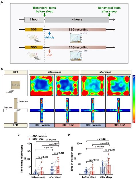 Frontiers Activation Of Ventral Tegmental Area Vesicular GABA