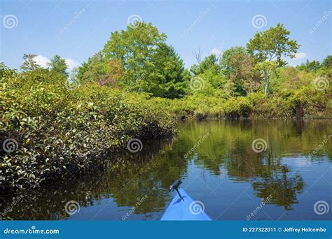 Kayak On Quinebaug River Canoe Trail In East Brimfield Massachusetts