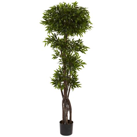 Earthflora Faux Ficus Trees 60 Inches Outdoorindoor Uv Ruscus Tree