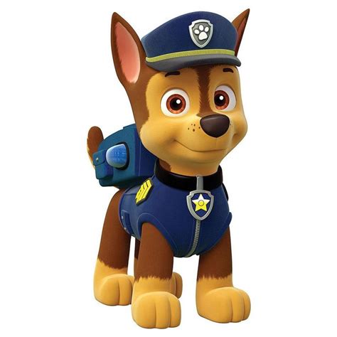 Looking to Meet Your Favorite Paw Patrol Characters? 7 Names to Know ...