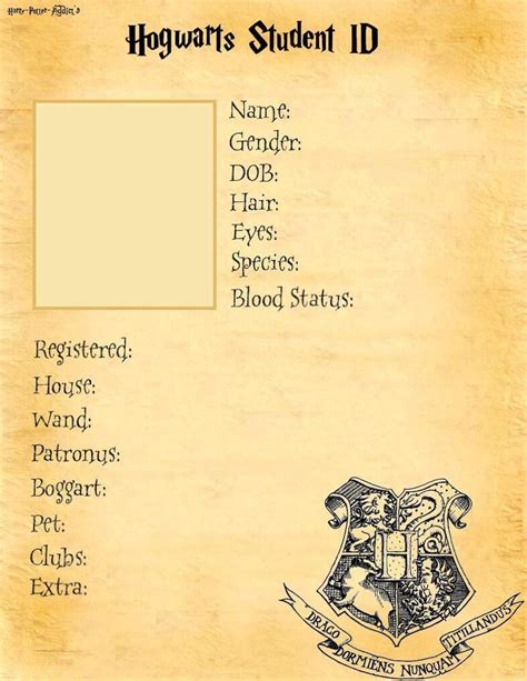 Harry Potter Character Profile