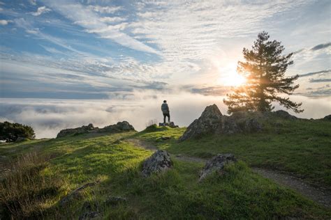 Free Images Landscape Sea Coast Tree Nature Grass Rock Horizon