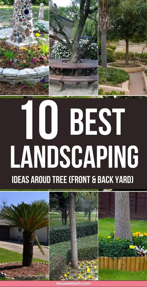 10 Creative Tree Landscaping Ideas (Front and Back Yard)