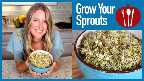 Save And Easily Grow Your Own Sprouts At Home Youtube