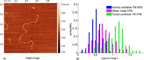 A Height Image Of DNA On A Mica Surface Captured With A Tuned