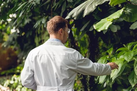 Biomimética a natureza como inspiração para a arquitetura