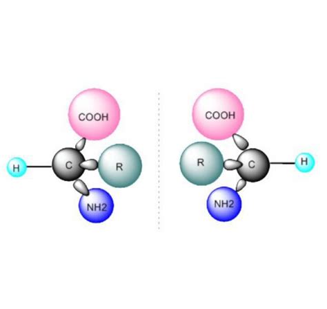 Chiral Resolution BOC Sciences in New York, New York | BOC Sciences