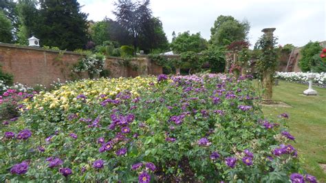 Hever Castle Rose Garden Hever Castle Is Located In The Flickr