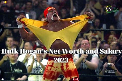 What Is Hulk Hogan Net Worth Updated November 2024 WCnetworth