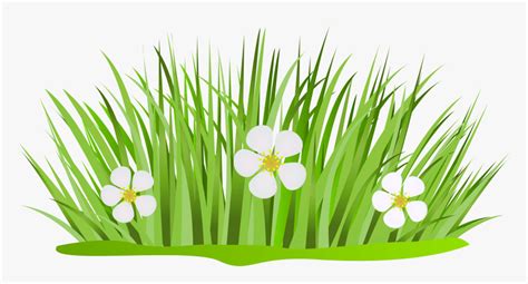 Grass Patch With Flowers Png Clip Art Image - Grass And Flower Clipart ...