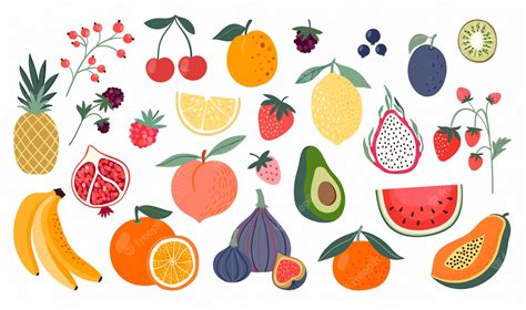 Coleção De Frutas Diferentes Estilo Doodle Isolado No Branco Vetor