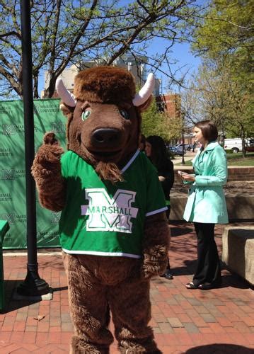 Mascot tryouts on MU campus | | herald-dispatch.com