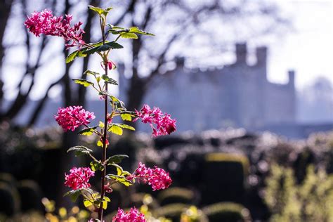 Leeds Castle & Gardens - Maidstone | Gardens | Britain's Finest