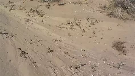 Min Cockplay Gay Amateur Hd Porn Video Xhamster