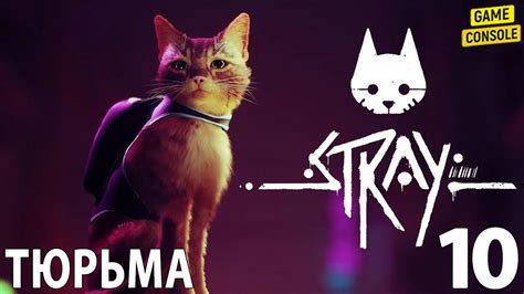 Тюрьма - Прохождение Stray #10 - YouTube