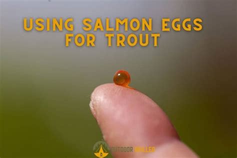 Can You Use Salmon Eggs For Trout 4 Ways To Do It Right Outdoor Skilled