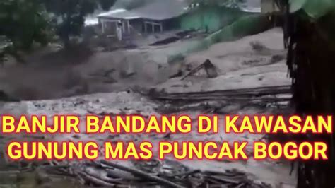 Berita Hari Ini Banjir Bandang Terjang Kawasan Gunung Mas Puncak Bogor