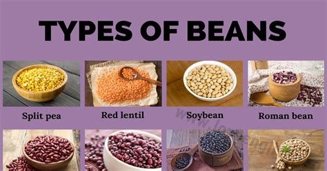 Types of Beans: 21 Different Types of Beans that You Should Try - Love English