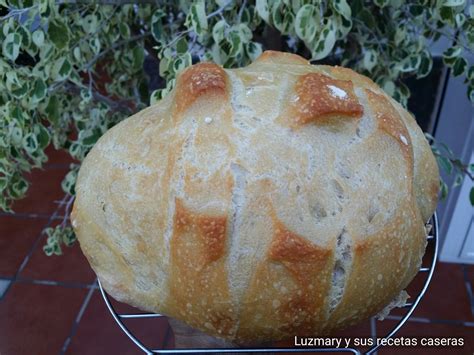 Luzmary Y Sus Recetas Caseras Pan Con Harina De Trigo Normal Y Sin Amasado