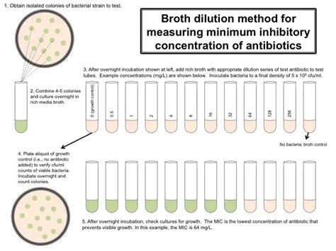 Minimum Inhibitory concentration (MIC): Broth dilution method-procedure ...