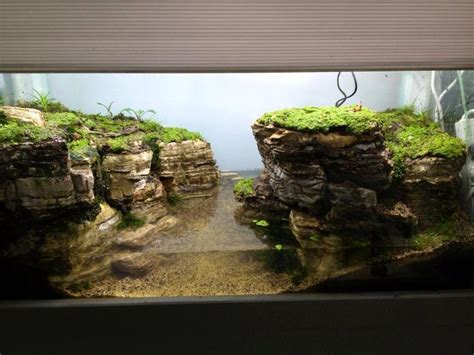 Aquarium landscape, Freshwater aquarium, Planted aquarium