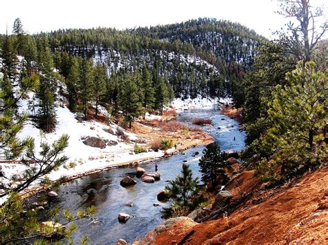 Fishing Cheesman Canyon Photograph by Ed Golden