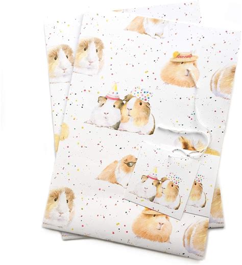 Guinea Pig Party T Wrapping Paper 2 Sheets And Tags Uk