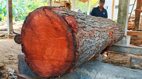 The Process Of Sawing Old Mahogany Wood Use Bandsaw Youtube