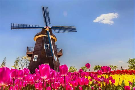 Dutch Windmill Pretty Windmill Lovely Wind Dutch Bonito