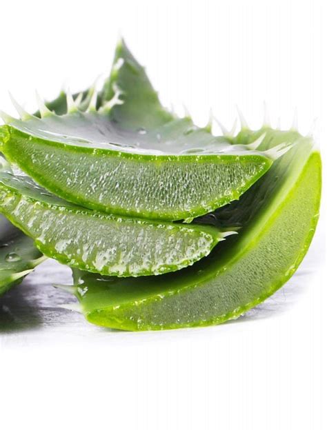 Ways To Incorporate Aloe Vera Into Your Daily Beauty Routine