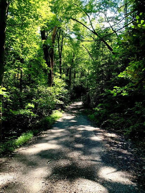 👌🏼 weather for a morning hike [Montreat, N.C.] : r/NorthCarolina