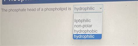 Solved The phosphate head of a phospholipid is | Chegg.com