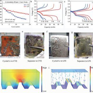 Electrochemical Performances Of Lis Pouch Cells With Mg Cm S