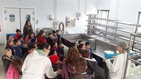 Aula de Concernoso Los más peques visitan la Quesería de Abredo y la