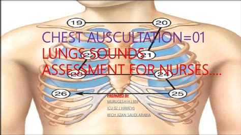 Chest Auscultation And Lung Sounds Assessment For Nurses