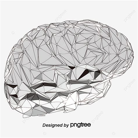 矢量人腦模型 人腦模型 矢量向量 大腦頭腦向量圖案素材免費下載PNGEPS和AI素材下載 Pngtree