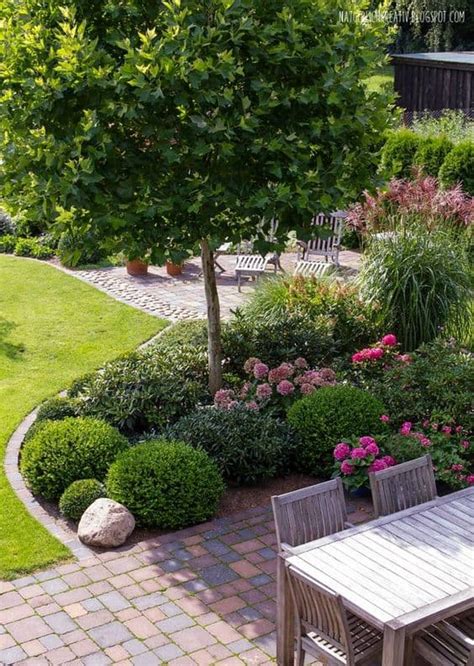 35 Stunning Small Backyard Trees - Home, Family, Style and Art Ideas