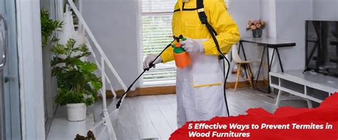 5 Effective Ways to Prevent Termites in Wood Furnitures