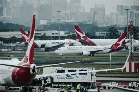 下周五晚，澳洲航空从墨尔本飞往悉尼的单程经济舱机票价格为475澳元；rex的经济舱座位价格为239澳元。