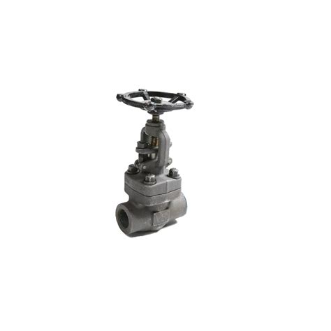 Forged Steel Globe Valve 800lb A105 Valve Specialists