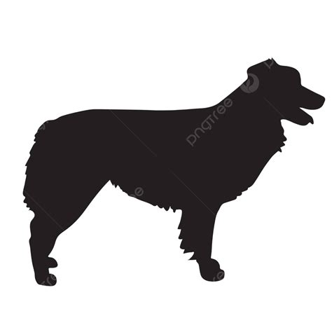 Australian Shepherd Silhouette Canine Pet Dog Vector Canine Pet Dog