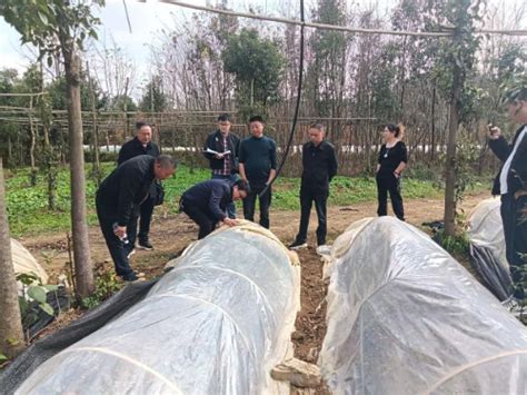 贵州省林业局种苗站副站长杨华斌到安顺市调研省级保障性苗圃 Isenlin Cn