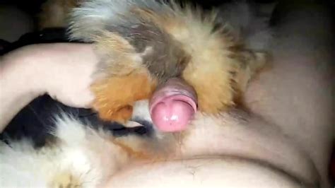 Red Fox Cum Shots Gay Man Man Porn Feat Fur Pleasure Xhamster