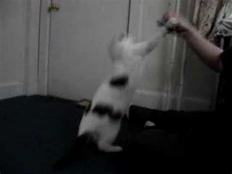 My Wet Pussy YouTube