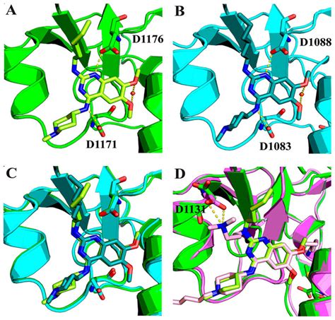 X Ray Cocrystal Structures Of GLP And G9a In Complex With 18 A