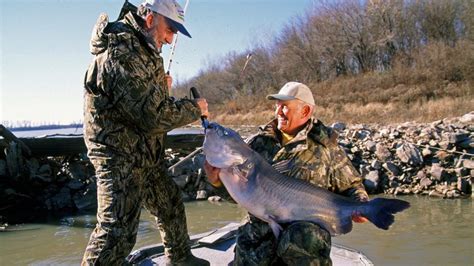 How to catch catfish: species, tackle, bait and timing | Advnture