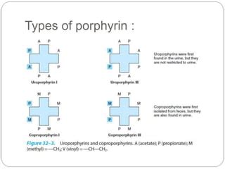 Biosynthesis And Degradation Of Porphyrin And Heme Ppt