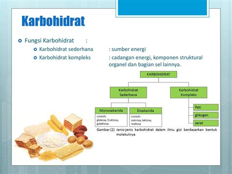 Komponen Kimiawi Dalam Sel Ppt Download