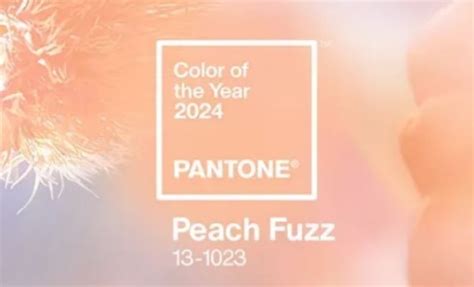 Pantone Announces Peach Fuzz As Colour Of The Year 2024 Stori